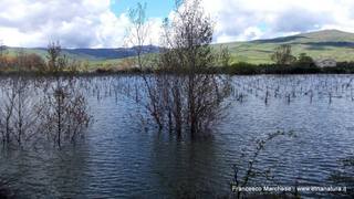 Lago Gurrida